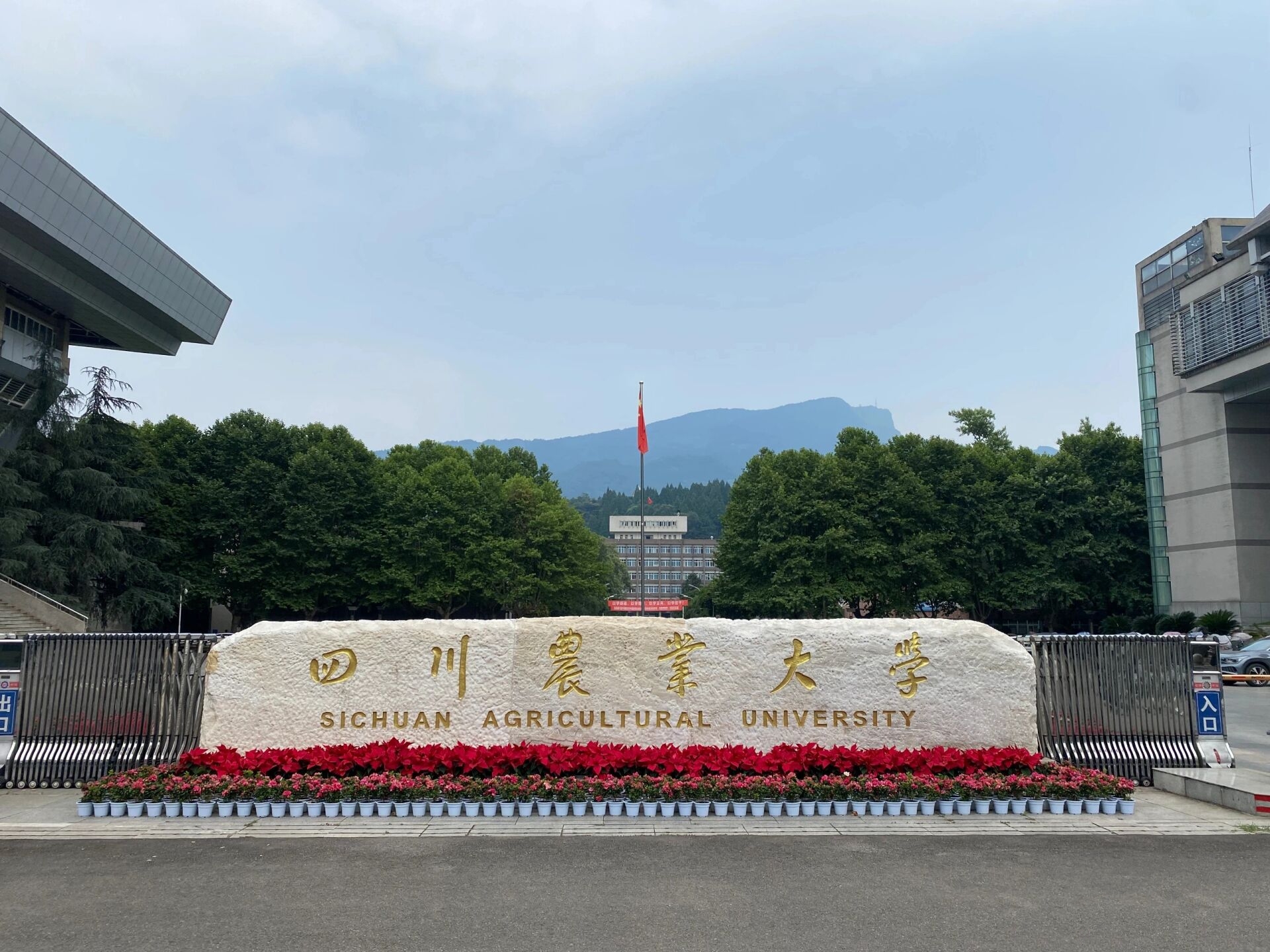2026年四川农业自学考试和“1+X”项目招生简章（最新版）